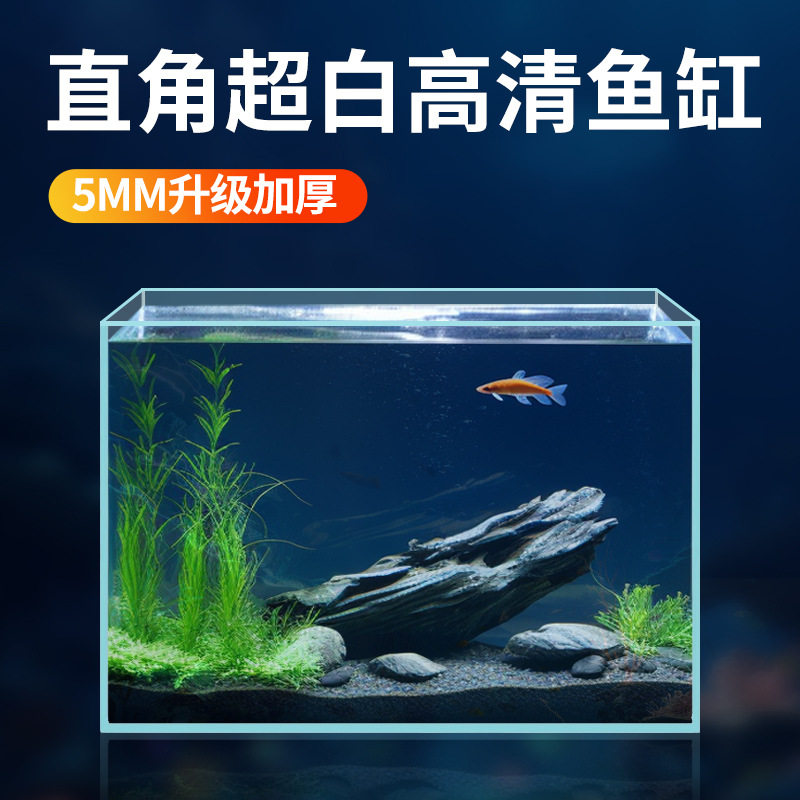 金晶五线超白玻璃鱼缸长方形大型小型裸缸客厅造景方80cm草缸龟缸