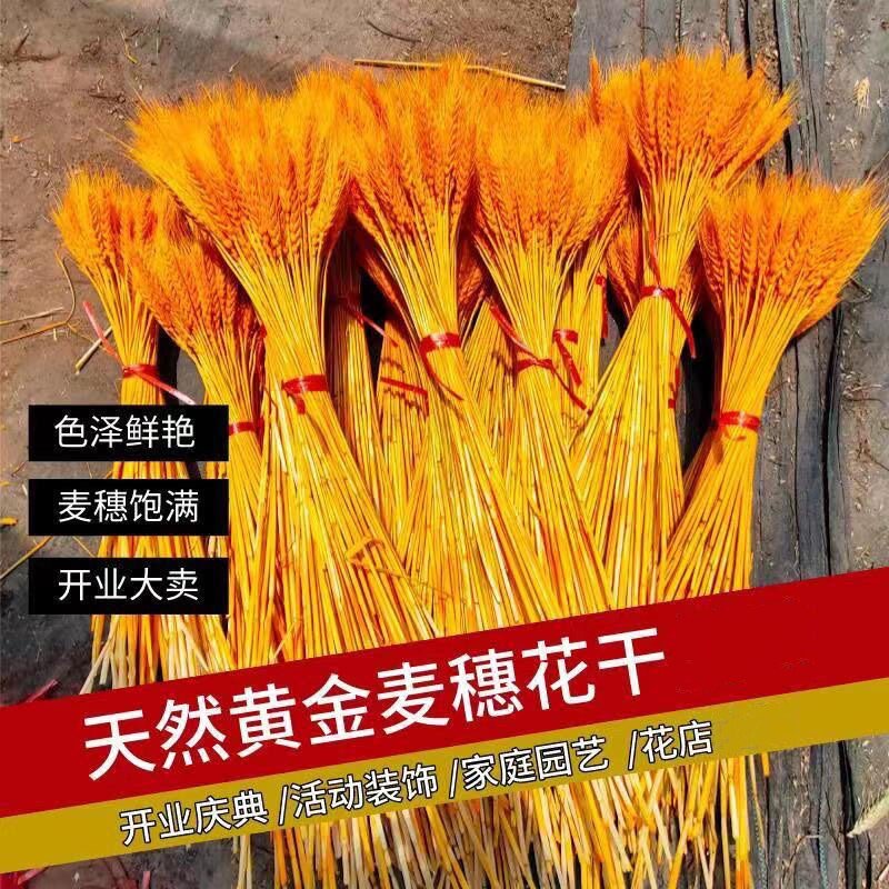 精品黄金麦穗开业策划家庭装饰招财干花花束真摆件田园拍摄道M