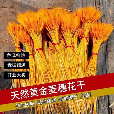 精品黄金麦穗开业策划家庭装饰招财干花花束真摆件田园拍摄道M