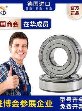 德国BKD进口6300 6301/6302/6303/6304/6305高速6306轴承zz RS P4