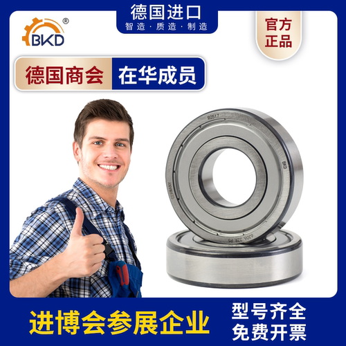 德国进口高速轴承6306