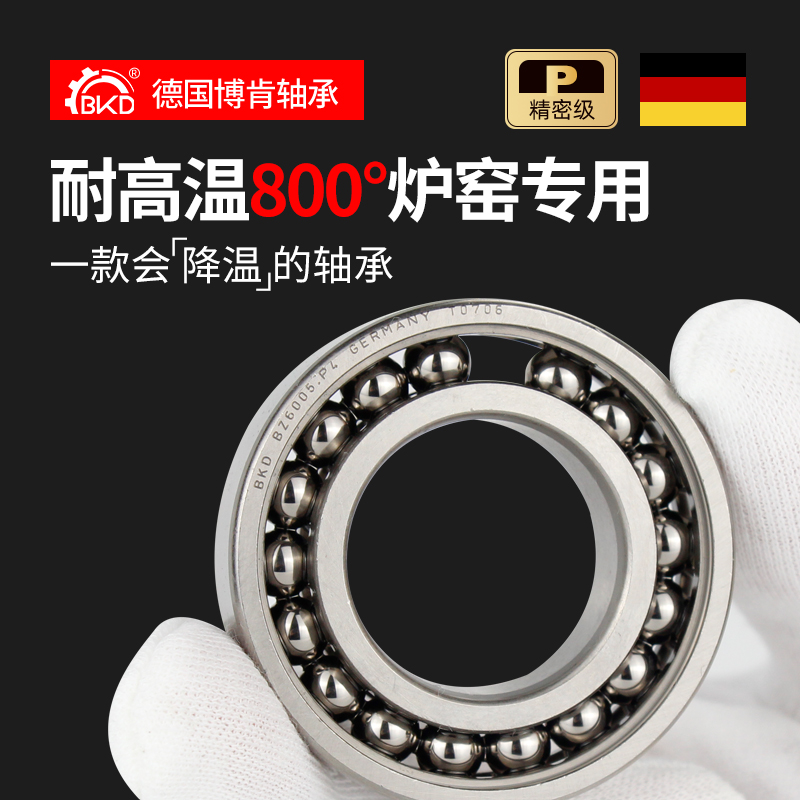德国BKD进口高温轴承BZ6218 BZSY6218ZZ/P5
