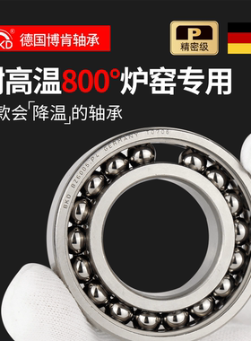 德国BKD进口耐高温轴承300度800度BZ6005 BZSY6005ZZ/P5