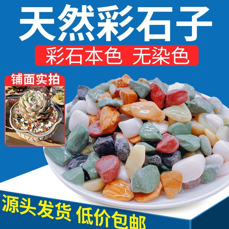 天然五彩石雨花石鱼缸造铺底盆栽水培多肉植物铺面装饰小石头