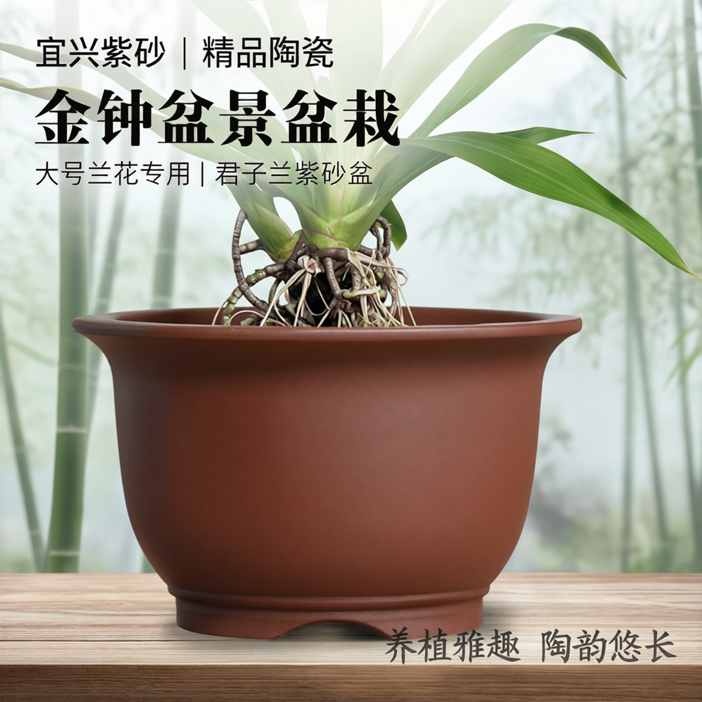 宜兴紫砂花盆陶瓷精品简约金钟盆景盆栽大号兰花专用君子兰紫砂盆