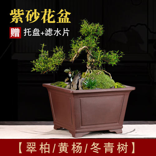 紫砂简约中国风物美价廉经济实惠