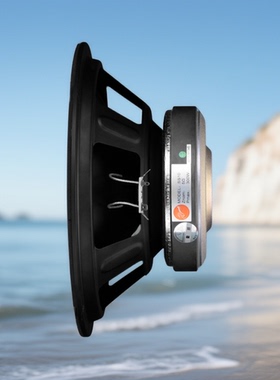 Hivi惠威SS10/SS12发烧10寸12寸中低音喇叭扬声器家用音箱HIFI