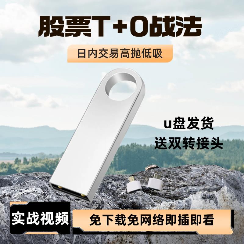 股票U盘T+0战法实战课程