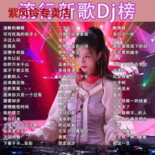 DJ全视频高清画质高音质DJ歌曲2023流行车用抖音热门歌曲车载优盘