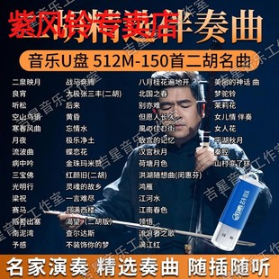 二胡名曲音乐U盘民乐演奏伴奏曲二泉音乐良宵无损高品MP3 精选经典