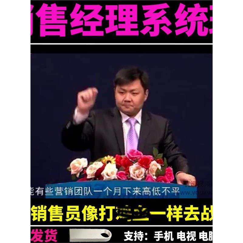 销售经理系统班课程视频讲解U盘