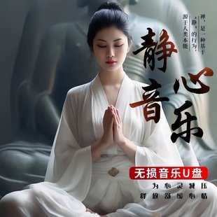 五音养生经典轻音乐U盘舒缓心情古筝古琴琵琶茶室车载无损纯音乐