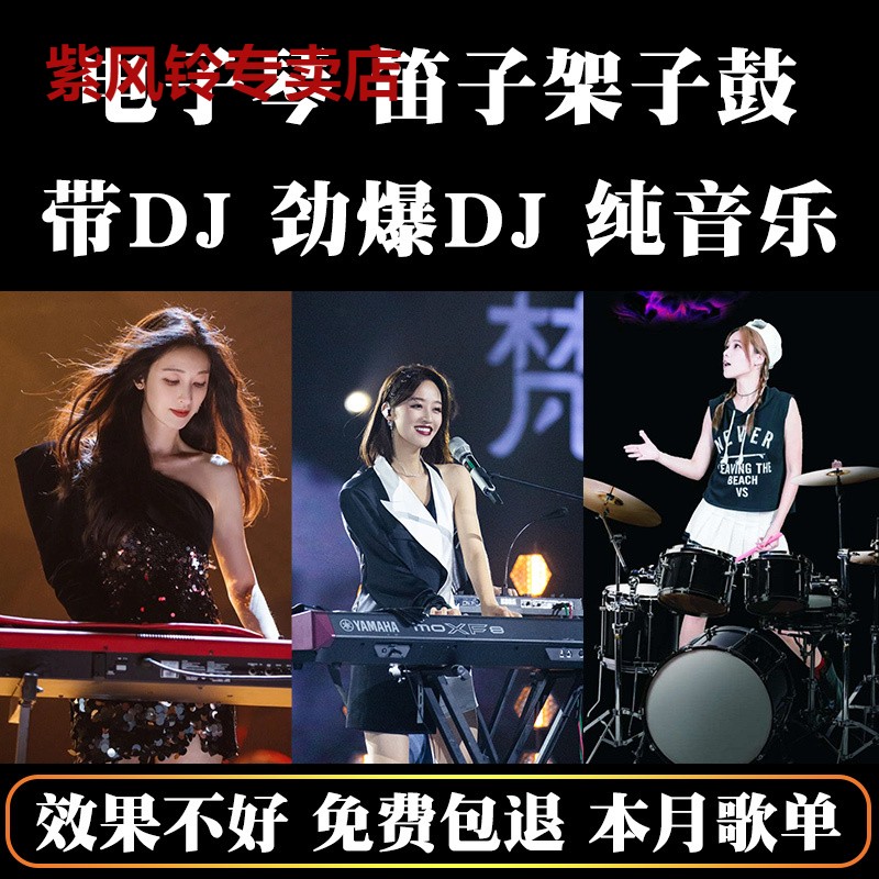 重低音笛子电子琴u盘合奏曲车载音乐u盘歌曲抖音同款无损高品质 影音电器 CD随身听 原图主图