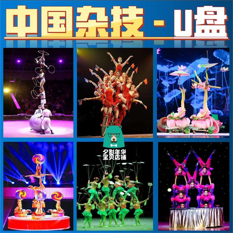 中国杂技U盘马戏团表演视频