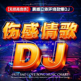 伤感情歌DJ劲爆重低音车载U盘无损高音质歌曲流行劲爆音乐U盘