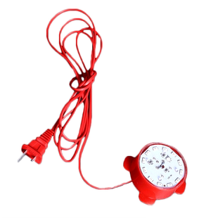 大红灯笼专用led灯电源线2米长阳台大门新年春节灯笼伴侣电线插电