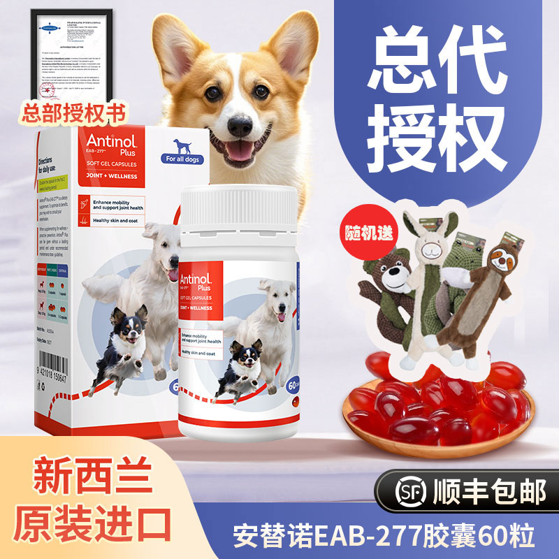 新西兰安它诺Antinol安适得277软骨素狗猫安替诺髌骨脱位腰椎关节