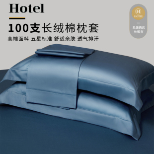 高端100支新疆长绒棉枕套五星级酒店轻奢全棉纯色枕芯套一对48x74