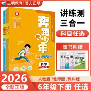 【官方直营】2026春新版 奔跑吧少年六年级数学下册人教版RJ小学课时天天练6年级下册数学RJ紧扣课程标准突出学科核心素养53天天练