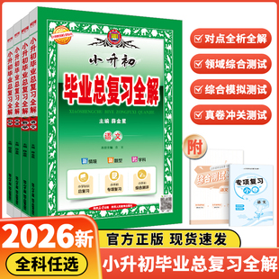 小升初毕业总复习全解语文数学英语科学全套薛金星人教版小学教材全解升初中系统总复习专项资料六年级下册小升初必刷题真题卷2025
