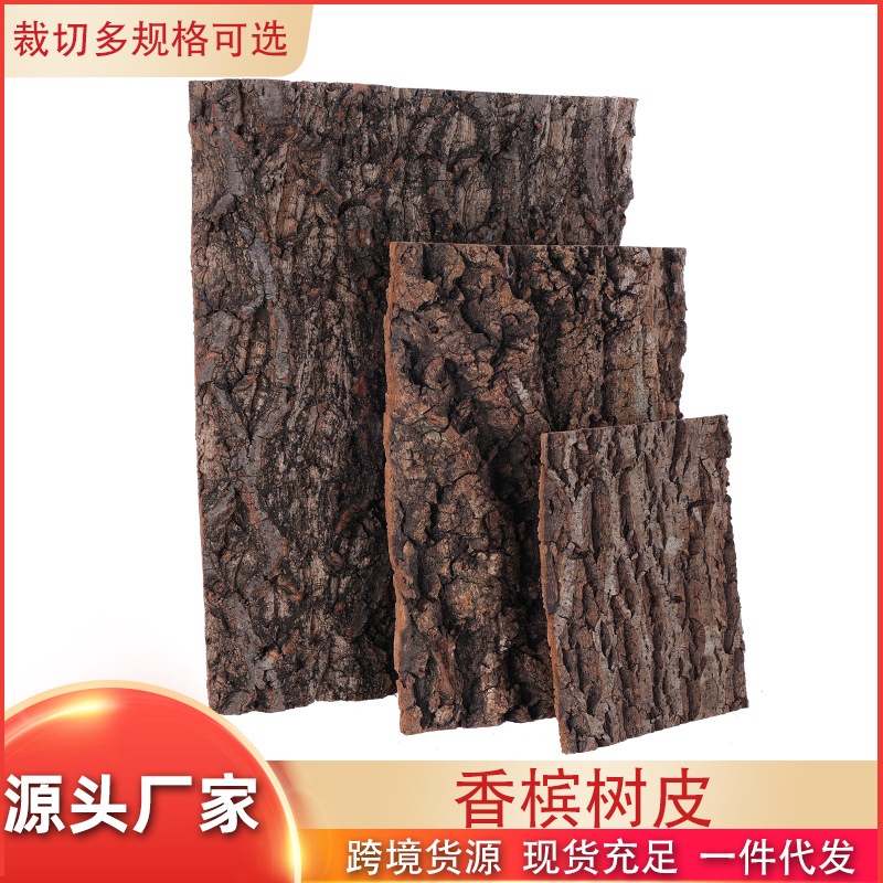 天然香槟树皮 鱼缸造景雨林缸背景装饰树皮 爬宠箱背景板软木树皮