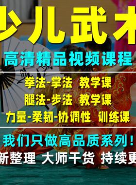 少儿武术视频教程强身健体自我防卫儿童早教传统武术功夫自学教程