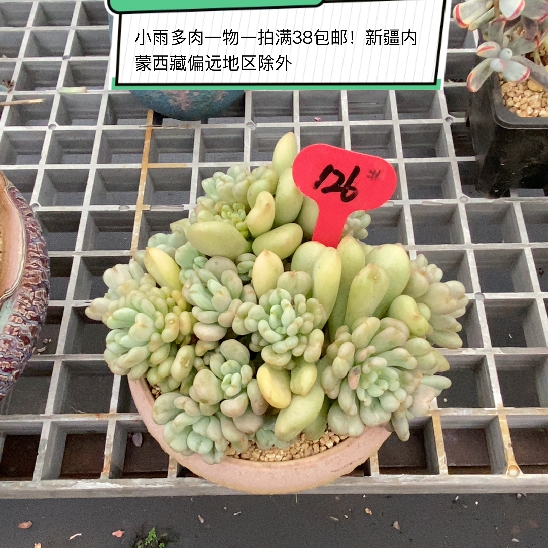 比尔盖茨