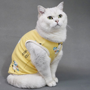 宠它纯棉猫衣服夏季款防掉毛可爱小猫无毛猫德文衣服猫咪背心新款