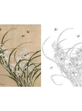 有步骤王少卿工笔画白描底稿花鸟