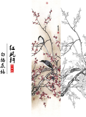 国画花鸟白描底稿四条牡丹