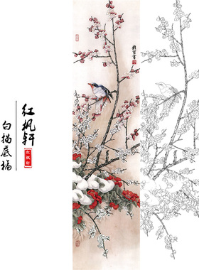 国画花鸟白描底稿四条牡丹