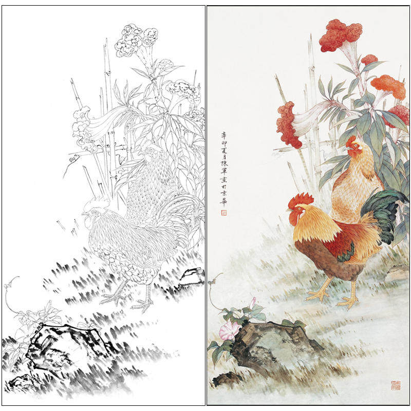 【有步骤】工笔画白描底稿打印宣纸过稿临摹陈军公鸡《冠上加冠》