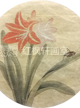 朱顶红花鸟鱼虫零基础教程工笔画