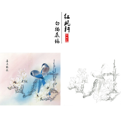 【有步骤】田素华灰喜鹊玉兰《喜上枝头》花鸟小品工笔画白描底稿