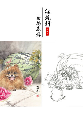 国画花鸟白描底稿团扇牡丹天香