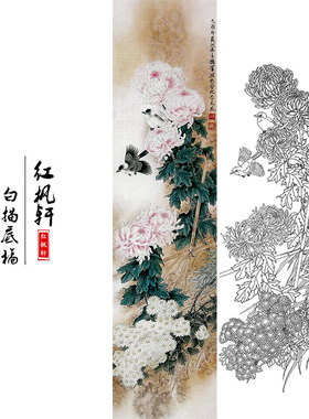 国画花鸟白描底稿四条牡丹