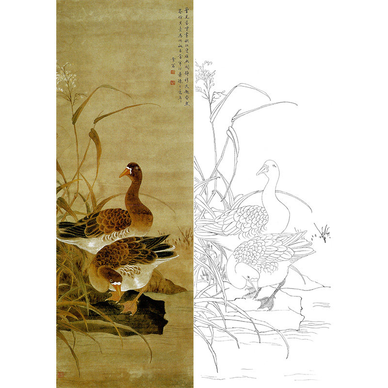 临陈之佛作品《芦雁》工笔画白描底稿花鸟国画高清素材打印实物稿