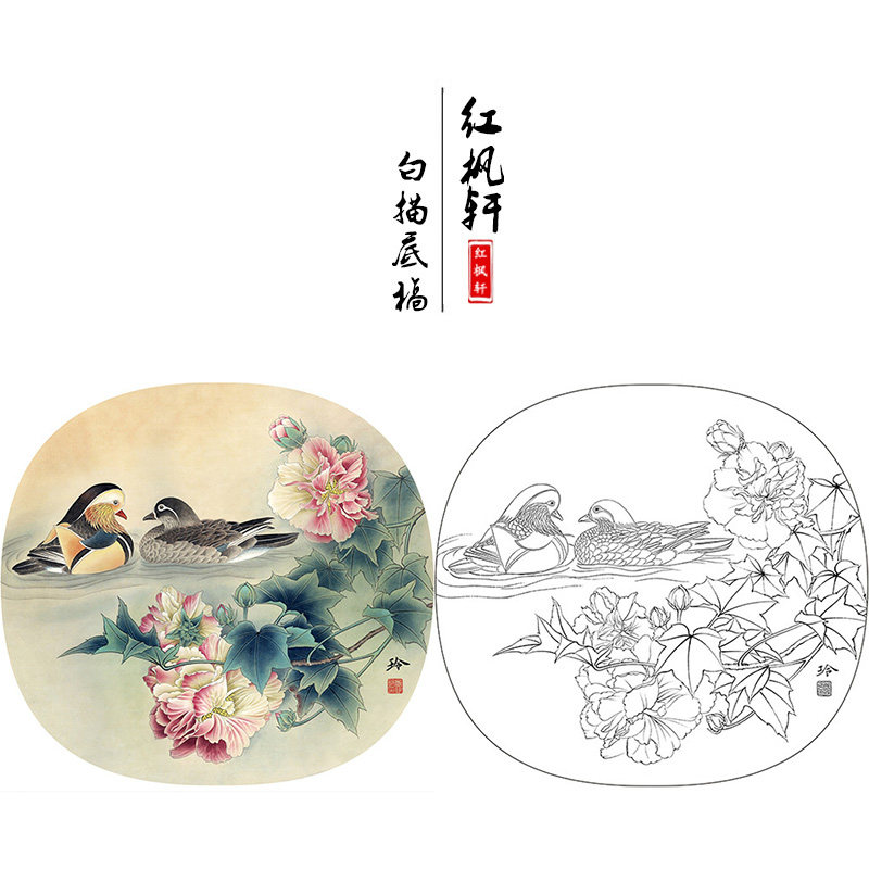 【有步骤】临郑玲玲国画小品《芙蓉鸳鸯》花鸟团扇工笔画白描底稿