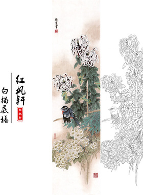 国画花鸟白描底稿四条牡丹