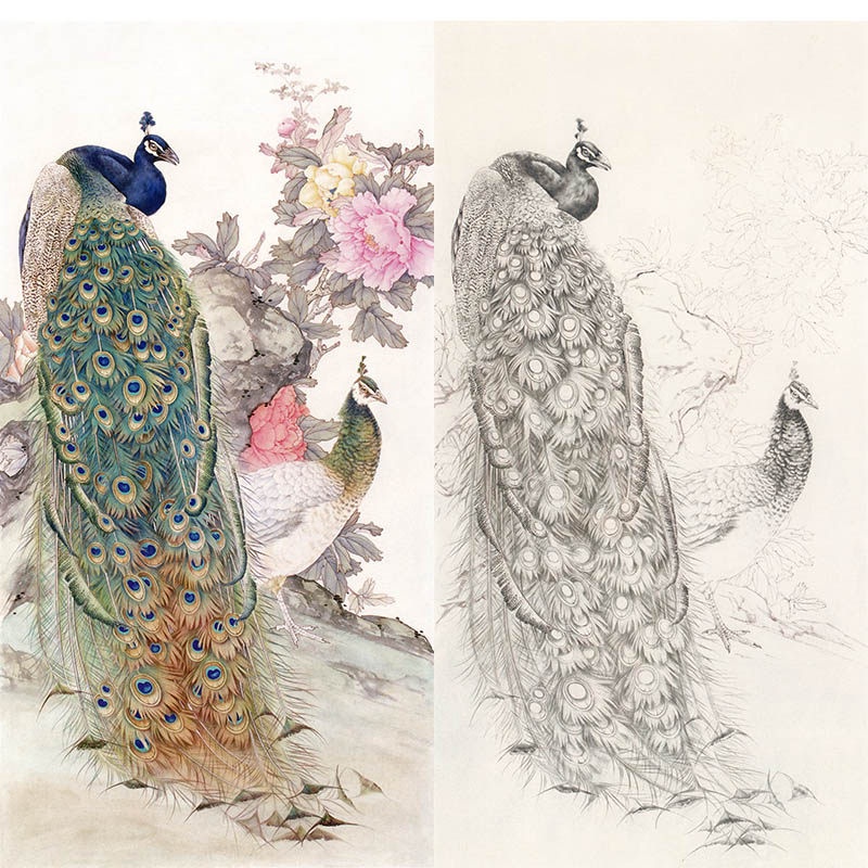【有步骤】学习陈军花鸟国画孔雀牡丹《春鸣翠羽》工笔画白描底稿