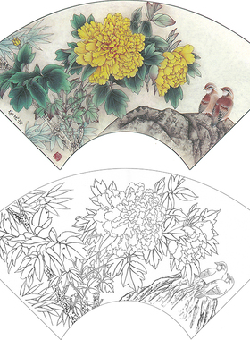 工笔牡丹扇面白描底稿国画素材