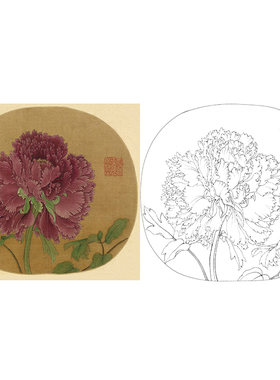 有步骤花鸟工笔画白描底稿