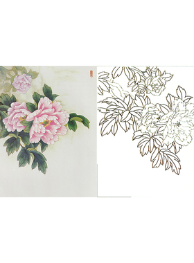 【有步骤】临田希丰工笔画白描底稿国画小品牡丹初学勾线线描底稿