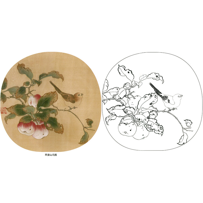 临北宋黄筌《苹婆山鸟图》小品工笔画白描底稿花鸟国画初学练习稿