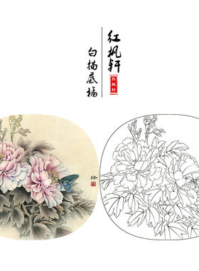 有步骤花鸟工笔画白描底稿