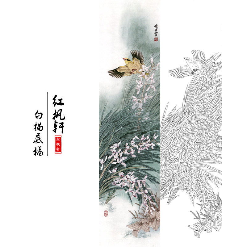 工笔画白描底稿临陈拥军四条屏《幽兰黄鹂》草花鸟国画素材线描稿