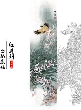 国画花鸟白描底稿四条牡丹