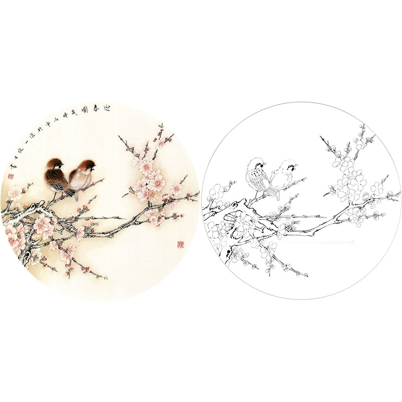 【有步骤】李俊才团扇小品梅花鸟《迎春图》工笔画初学临摹勾线稿