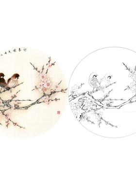 有步骤花鸟国画白描底稿小品牡丹