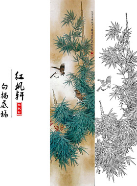 国画花鸟白描底稿四条牡丹